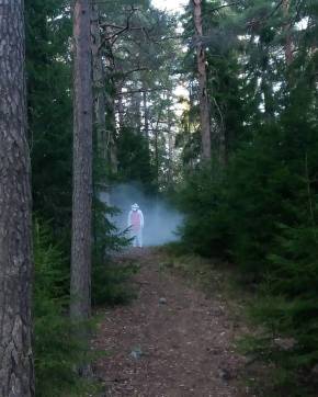 18513948_129000037662750_9855369396355072_n(1)